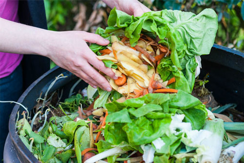 Food Waste Composting
